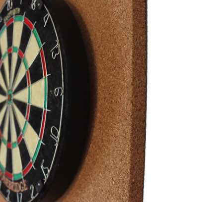 Best Dartboard Wall Protector